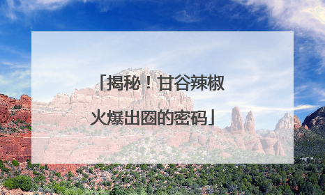 揭秘！甘谷辣椒火爆出圈的密码