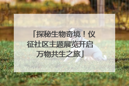 探秘生物奇境！仪征社区主题展览开启万物共生之旅