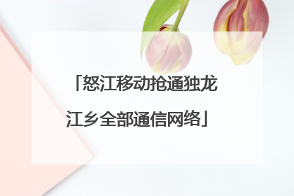 怒江移动抢通独龙江乡全部通信网络