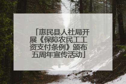 惠民县人社局开展《保障农民工工资支付条例》颁布五周年宣传活动