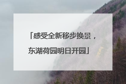 感受全新移步换景，东湖荷园明日开园