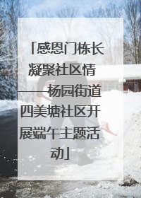 感恩门栋长 凝聚社区情——杨园街道四美塘社区开展端午主题活动