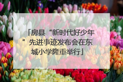 房县“新时代好少年”先进事迹发布会在东城小学隆重举行