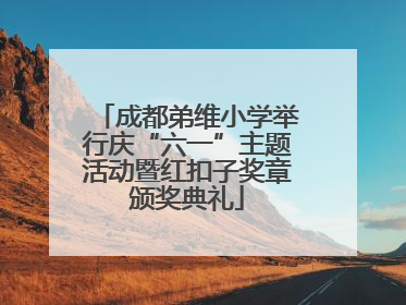 成都弟维小学举行庆“六一”主题活动暨红扣子奖章颁奖典礼
