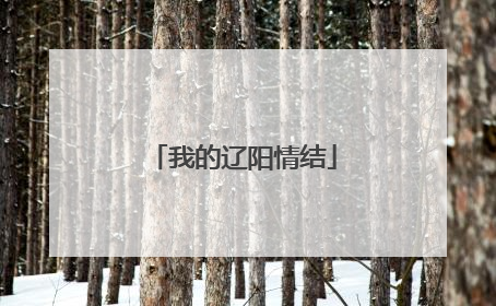 我的辽阳情结