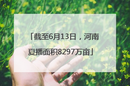 截至6月13日，河南夏播面积8297万亩