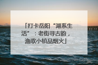打卡岳阳“湖系生活”：老街寻古韵，渔歌小镇品烟火