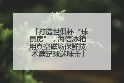 打造世俱杯“球景房”，海信冰箱用真空磁场保鲜技术满足球迷味蕾