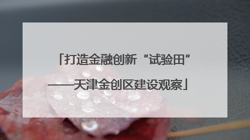 打造金融创新“试验田”——天津金创区建设观察