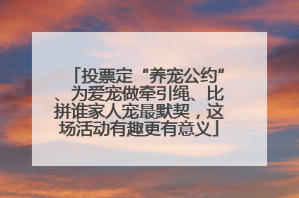 投票定“养宠公约”、为爱宠做牵引绳、比拼谁家人宠最默契，这场活动有趣更有意义