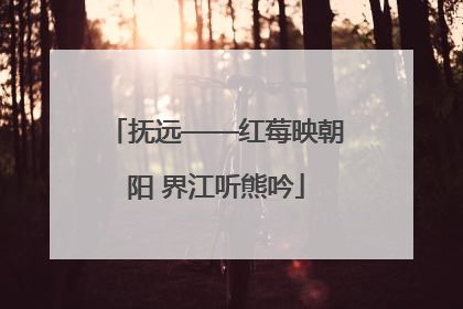 抚远——红莓映朝阳 界江听熊吟