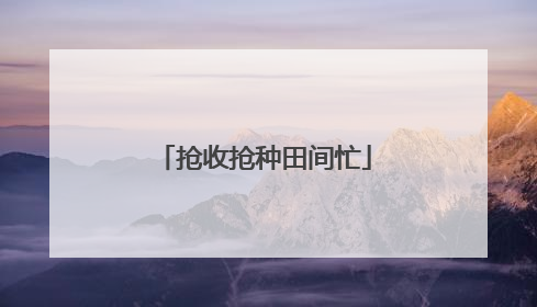 抢收抢种田间忙