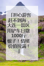 担心游客赶不到海，大连一景区用铲车日撒1000斤蚬子！情绪价值拉满！