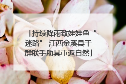 持续降雨致娃娃鱼“迷路” 江西金溪县干群联手助其重返自然