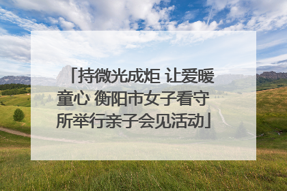 持微光成炬 让爱暖童心 衡阳市女子看守所举行亲子会见活动