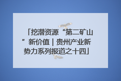 挖潜资源“第二矿山”新价值｜贵州产业新势力系列报道之十四
