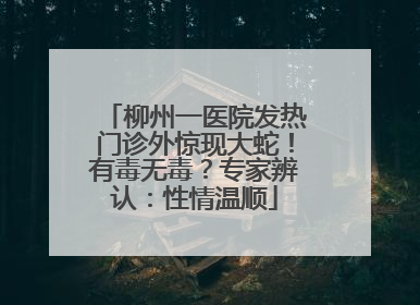 柳州一医院发热门诊外惊现大蛇！有毒无毒？专家辨认：性情温顺