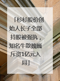 杉杉股份创始人长子全部持股被强执，知名牛散魏巍斥资1亿元入局