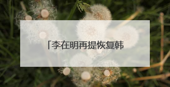 李在明再提恢复韩朝对话合作 强调“和平就是经济”