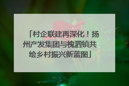 村企联建再深化！扬州产发集团与槐泗镇共绘乡村振兴新蓝图