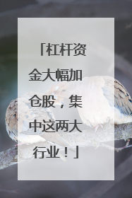 杠杆资金大幅加仓股，集中这两大行业！