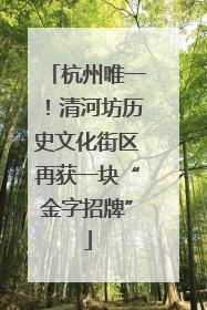 杭州唯一！清河坊历史文化街区再获一块“金字招牌”