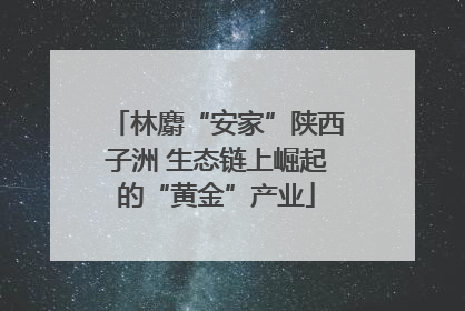 林麝“安家”陕西子洲 生态链上崛起的“黄金”产业