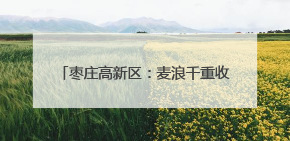 枣庄高新区：麦浪千重收割忙 多措并举保丰收