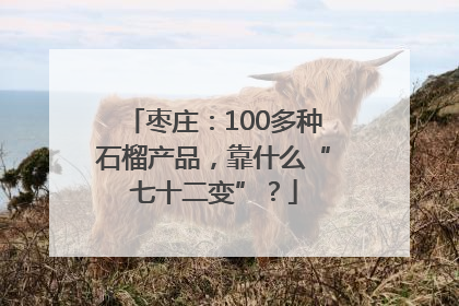 枣庄：100多种石榴产品，靠什么“七十二变”？