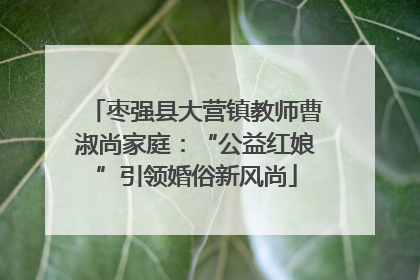 枣强县大营镇教师曹淑尚家庭：“公益红娘”引领婚俗新风尚