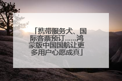 携带服务犬、国际客票预订……鸿蒙版中国国航让更多用户心愿成真
