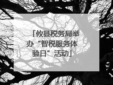 攸县税务局举办“智税服务体验日”活动