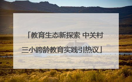 教育生态新探索 中关村三小跨龄教育实践引热议