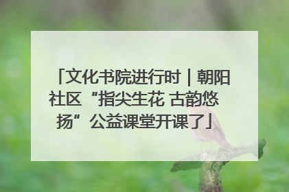 文化书院进行时｜朝阳社区“指尖生花 古韵悠扬”公益课堂开课了