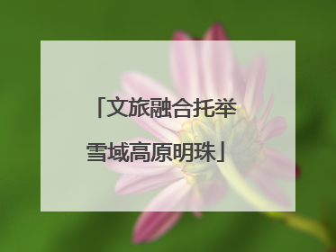 文旅融合托举雪域高原明珠