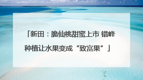 新田：脆仙桃甜蜜上市 错峰种植让水果变成“致富果”