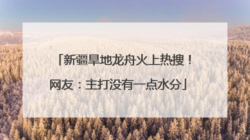 新疆旱地龙舟火上热搜！网友：主打没有一点水分