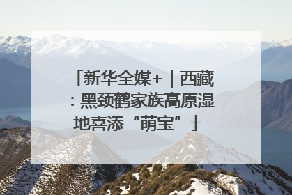 新华全媒+｜西藏：黑颈鹤家族高原湿地喜添“萌宝”