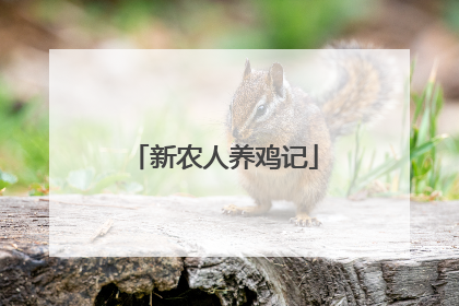 新农人养鸡记