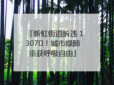 新虹街道拆违 1307㎡！城市绿肺重获呼吸自由