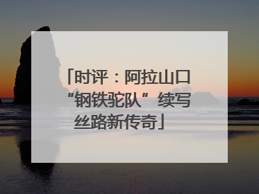 时评：阿拉山口“钢铁驼队”续写丝路新传奇