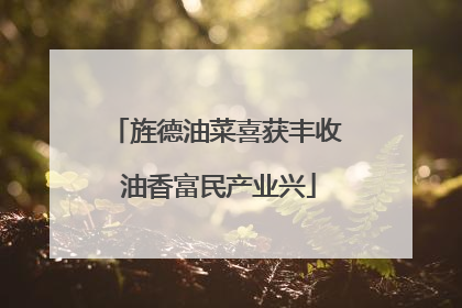 旌德油菜喜获丰收 油香富民产业兴