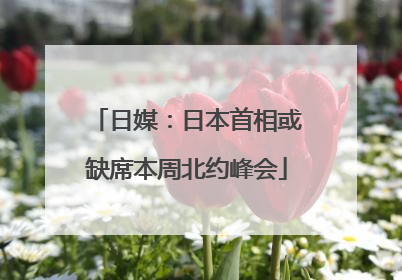 日媒：日本首相或缺席本周北约峰会
