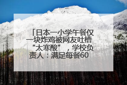 日本一小学午餐仅一块炸鸡被网友吐槽“太寒酸”，学校负责人：满足每餐600千卡的标准