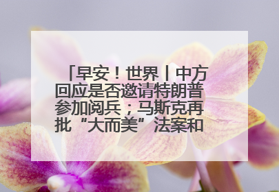早安！世界丨中方回应是否邀请特朗普参加阅兵；马斯克再批“大而美”法案和美国共和党