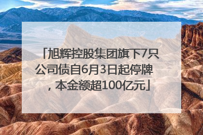 旭辉控股集团旗下7只公司债自6月3日起停牌，本金额超100亿元