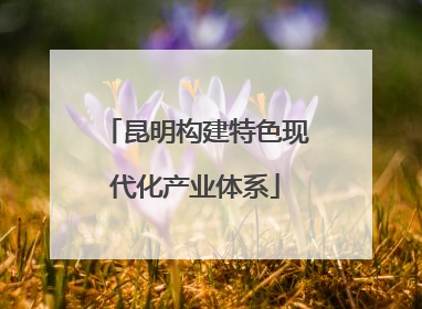 昆明构建特色现代化产业体系