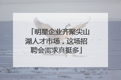 明星企业齐聚尖山湖人才市场，这场招聘会需求真挺多