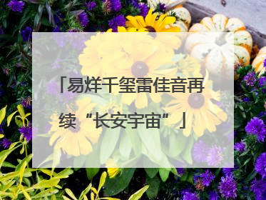 易烊千玺雷佳音再续“长安宇宙”