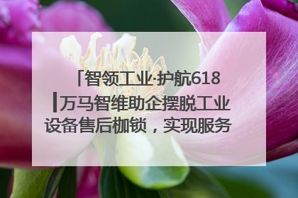 智领工业·护航618┃万马智维助企摆脱工业设备售后枷锁，实现服务与效能价值共振！